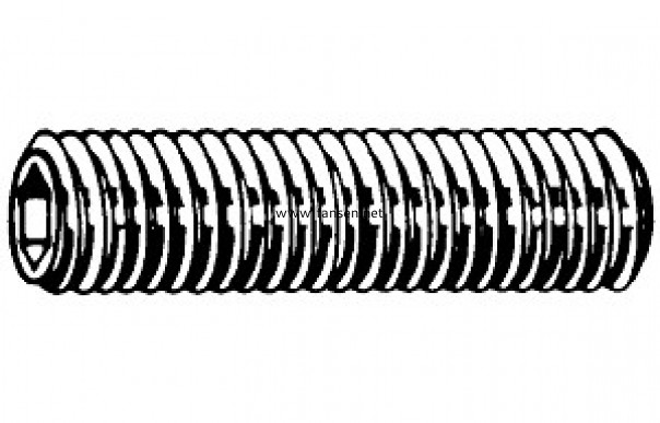 DIN913 Hexagon Socket  Set Screws  With Flat Point 平頭內(nèi)六角緊定